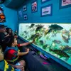 Image of Glass Bottom Boat Tours