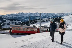 Tour image of Mt. Rigi Self-Guided Tour: Lake Lucerne Cruise and Mountain Spa