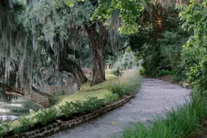 Tour image of Magnolia Plantation Day Tour with Transportation