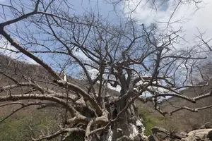 Tour image of East Salalah tour Full day (private tour)