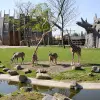 Image of Zoos & Wildlife Parks