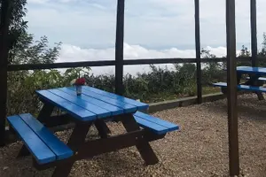 Tour image of Private Tour of Port Au Prince area