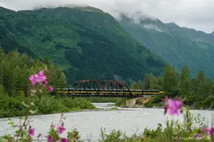 Tour image of Bears, Trains & Icebergs Tour