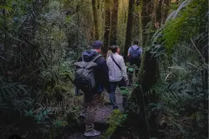 Tour image of Day Trip to Kinabalu Park and Poring Hot Spring Guided Tour