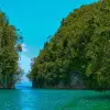 Image of Sightseeing Cruises