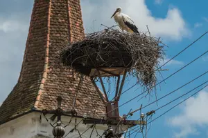 Tour image of Saxon Heritage in Transylvania: Day Trip from Cluj-Napoca