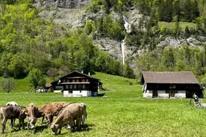 Tour image of 4 Lakes E-Bike Guided Tour and Lake Cruise