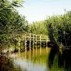 Image of Eco Tours