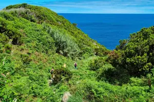 Tour image of Hike 3 hours Coast of Terceira Island