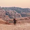 Image of Horseback Riding