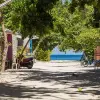 Image of Nature and Wildlife Tours