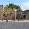 Image of Cultural Tours