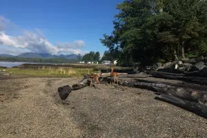 Tour image of 6hr Custom Private Tour of Ketchikan (4 People) Wildlife + More
