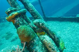 Tour image of Shipwreck Snorkel in Bermuda