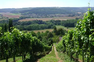 Tour image of Visit-Tasting-Sale
