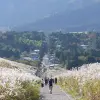 Image of Eco Tours