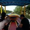 Image of Nature and Wildlife Tours