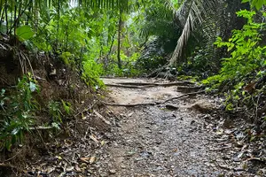 Tour image of Belize City