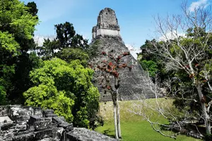 Tour image of Tikal Day Adventure from San Ignacio (Lunch Included)