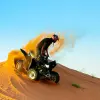 Image of Camel Rides