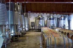 Tour image of Algarve Wine Tour of Two Wine Estates