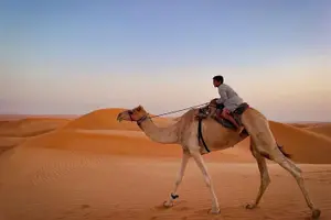 Tour image of Full-Day Private Wahiba Sands Desert and Wadi Bani Khalid Tour
