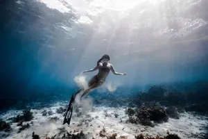 Tour image of Discover Freediving One Amazing Day