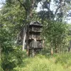 Image of Wildlife Watching