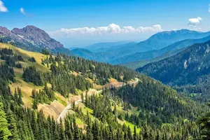Tour image of Explore Olympic National Park from Seattle through Van /Ferry