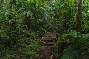 Tour image of Half Day Grenada Wonders Tour