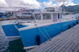Tour image of Full-Day Deep Sea Fishing Adventure in Sint Maarten